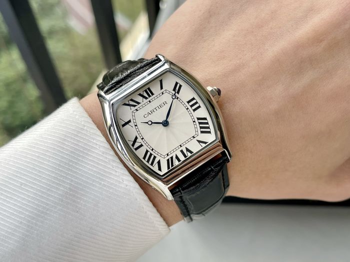 Cartier Watch CTW00461-3