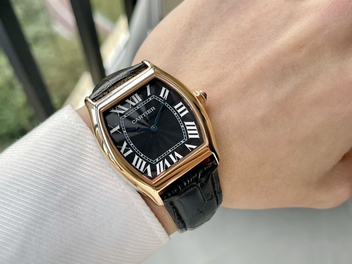 Cartier Watch CTW00461-4