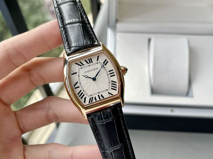 Cartier Watch CTW00461-6