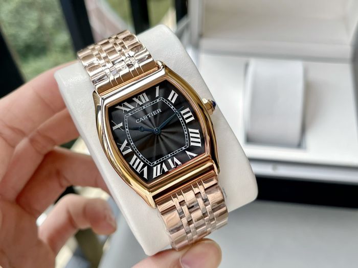 Cartier Watch CTW00462-1