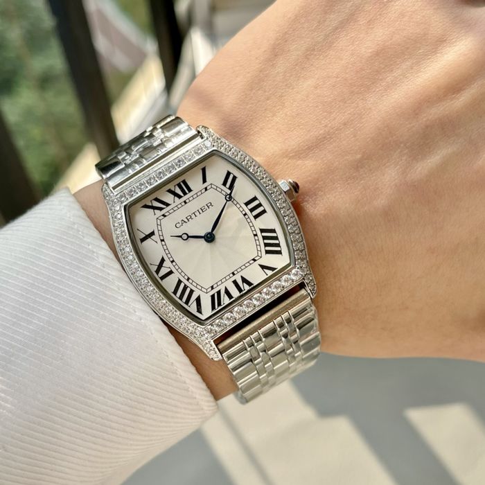 Cartier Watch CTW00462-5