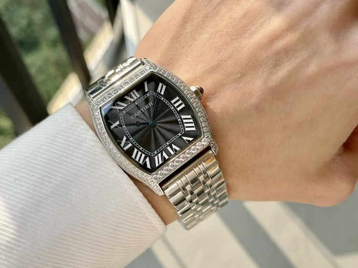 Cartier Watch CTW00462-6