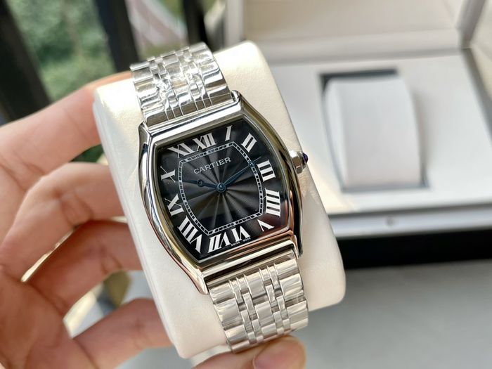 Cartier Watch CTW00462-8