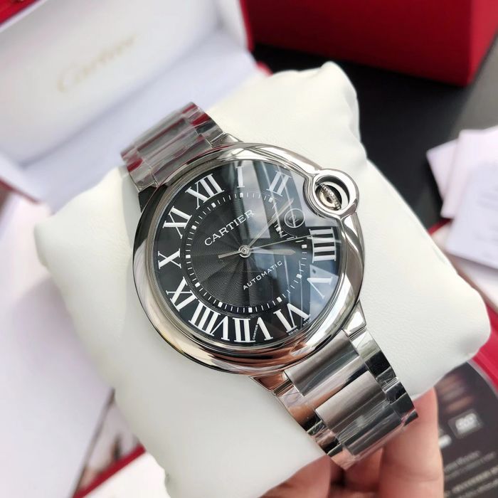 Cartier Watch CTW00466-3