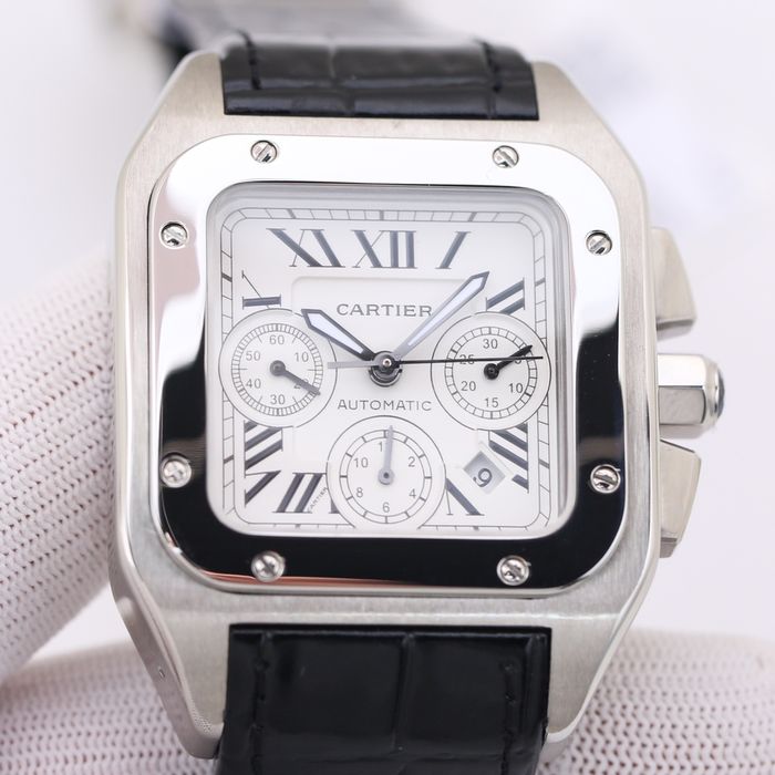 Cartier Watch CTW00479-3