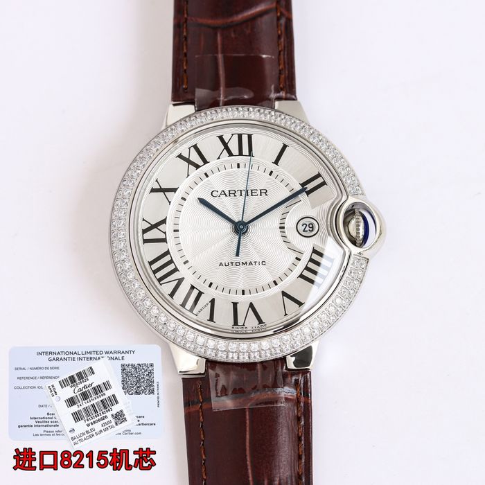 Cartier Watch CTW00481-1