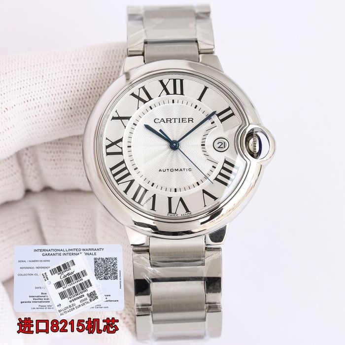 Cartier Watch CTW00481-5