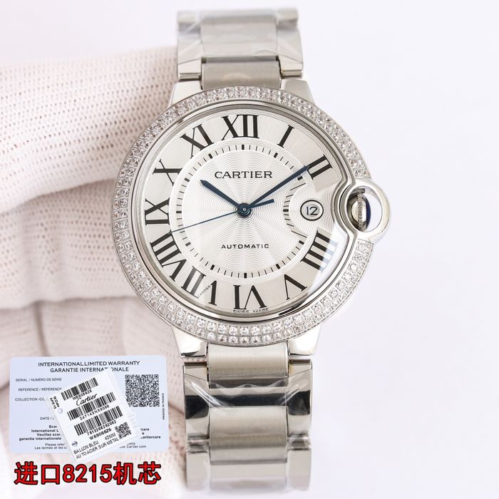 Cartier Watch CTW00481-6