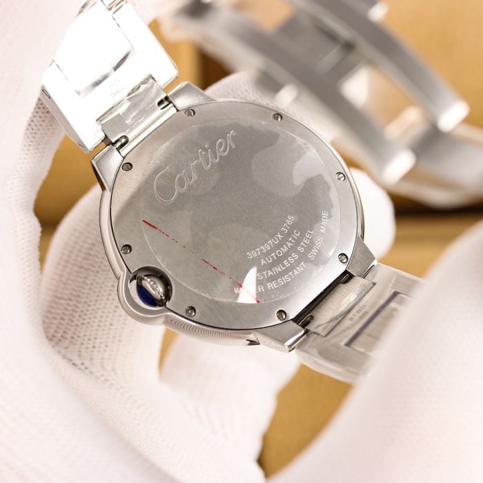 Cartier Watch CTW00501-1