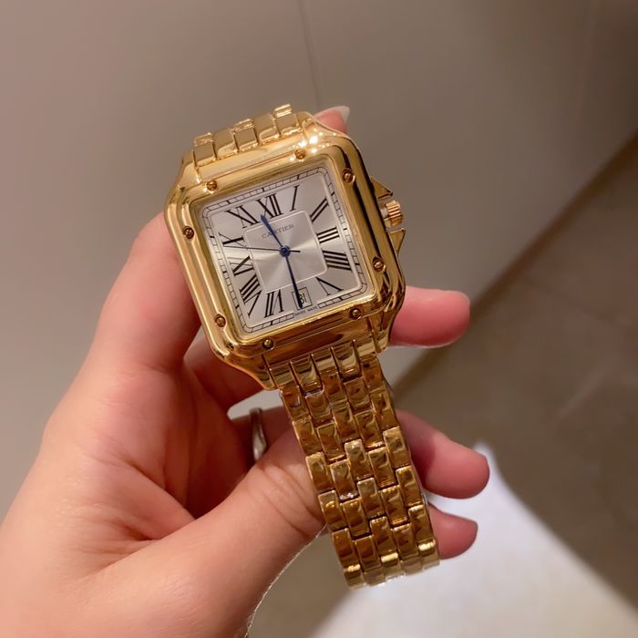 Cartier Watch CTW00504-1
