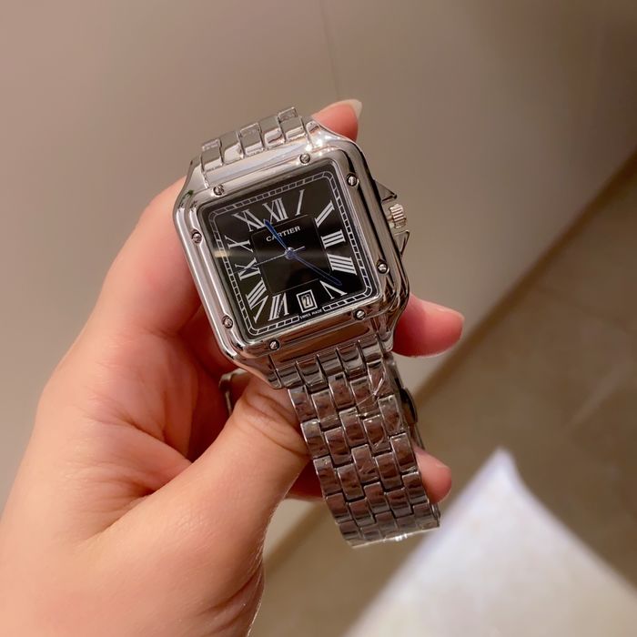 Cartier Watch CTW00504-6