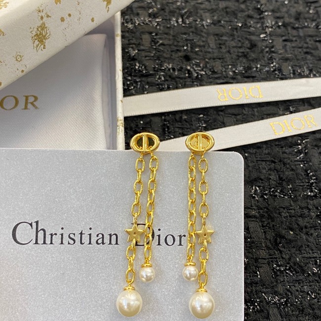 Dior Earrings CE11791