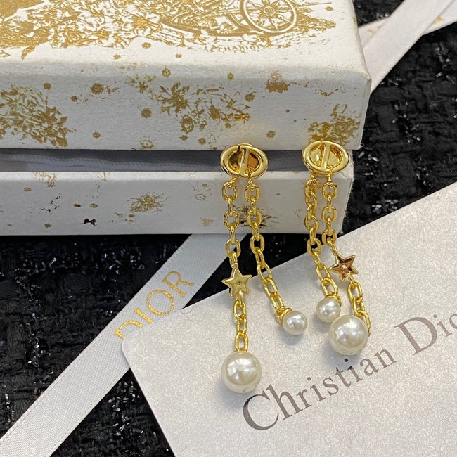 Dior Earrings CE11791