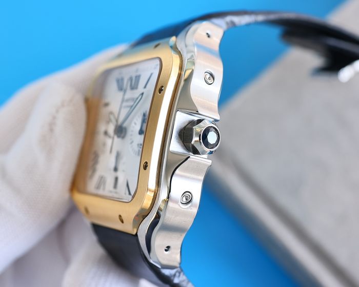 Cartier Watch CTW00517-1