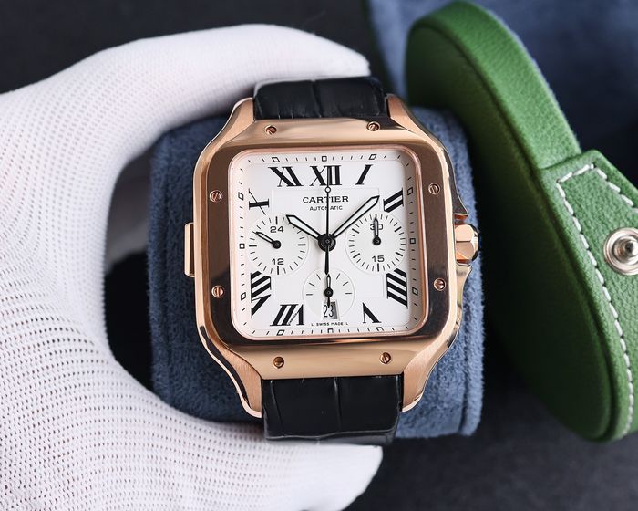 Cartier Watch CTW00518-1