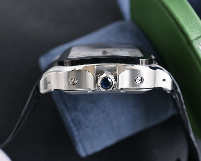 Cartier Watch CTW00519-1