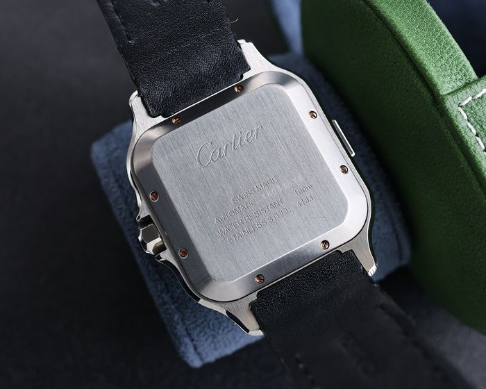 Cartier Watch CTW00519-1