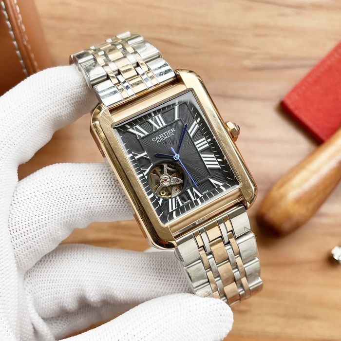 Cartier Watch CTW00524-3