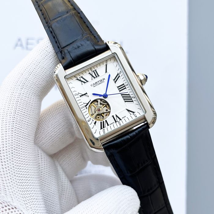 Cartier Watch CTW00576-2