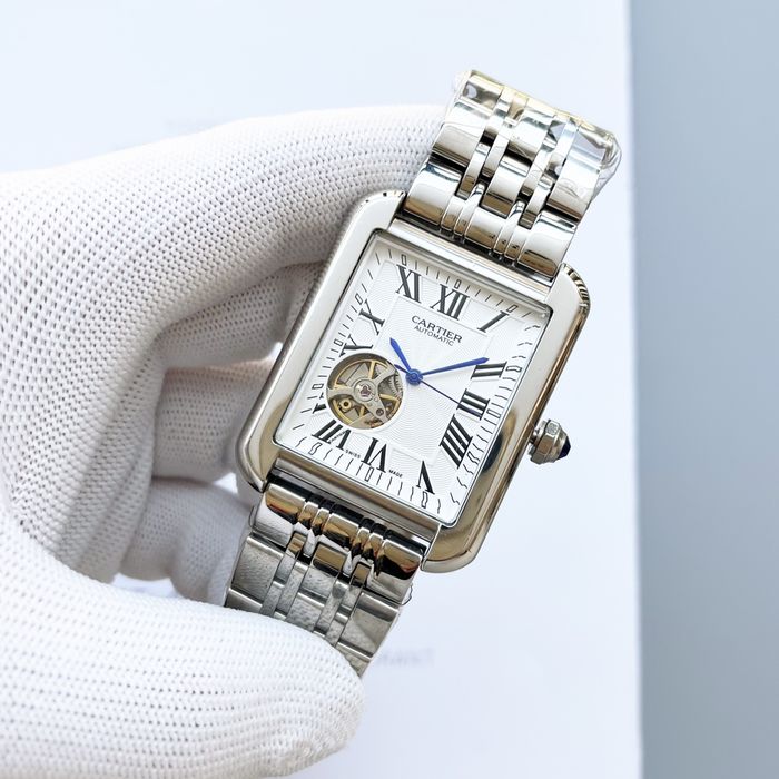 Cartier Watch CTW00577-2