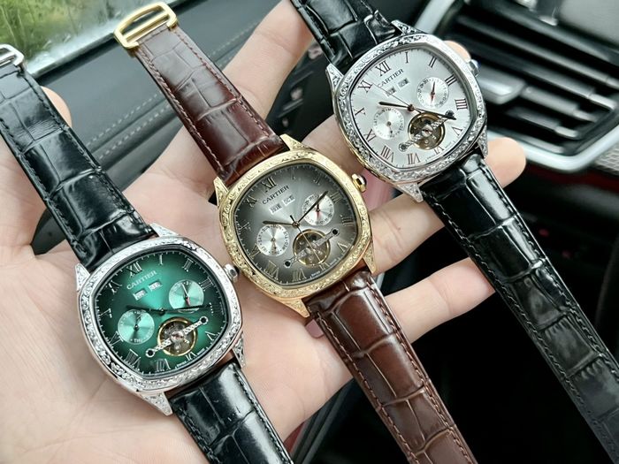 Cartier Watch CTW00590-1
