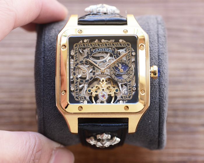 Cartier Watch CTW00595-1