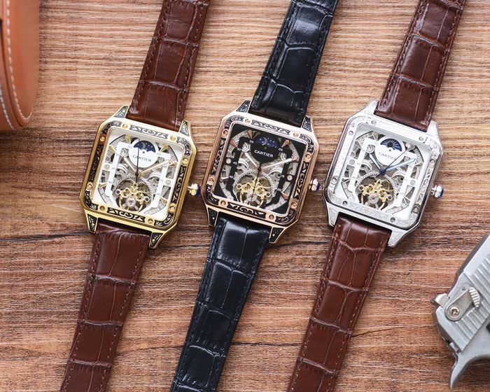 Cartier Watch CTW00596-1