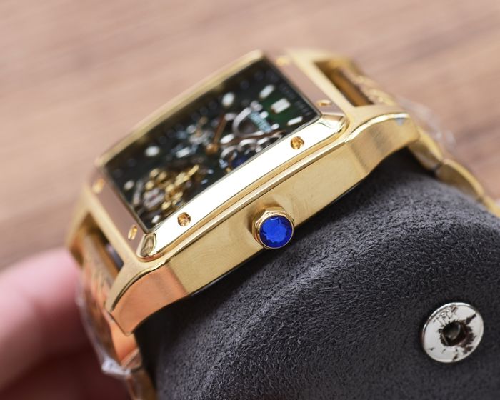 Cartier Watch CTW00597-1