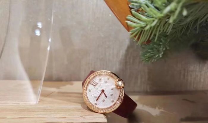 Cartier Watch CTW00660-1