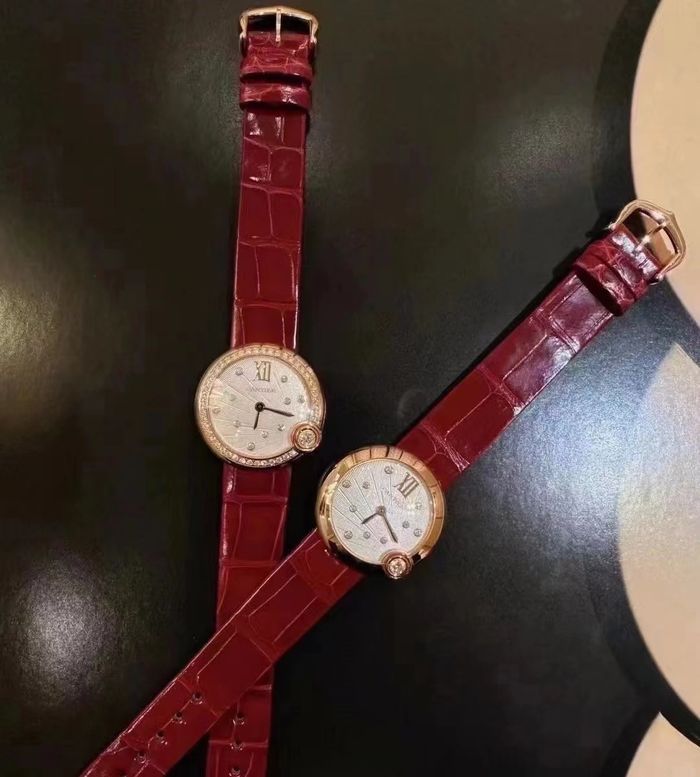 Cartier Watch CTW00660-1