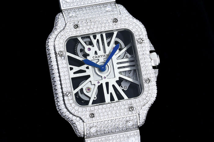 Cartier Watch CTW00662