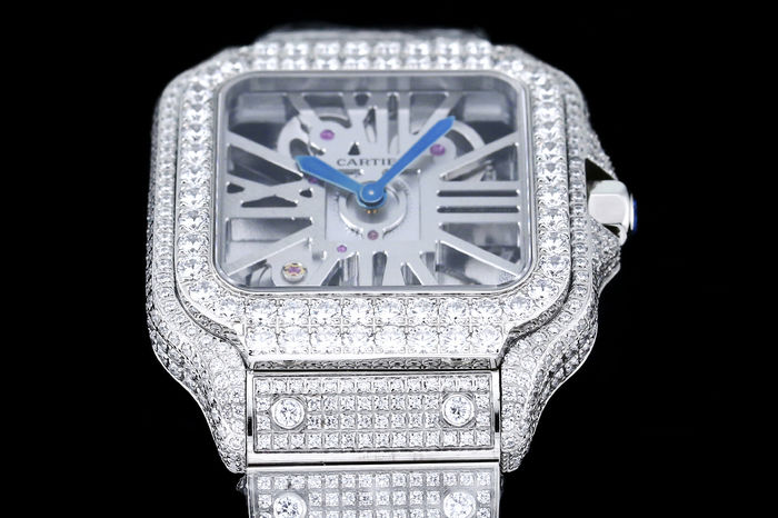 Cartier Watch CTW00663