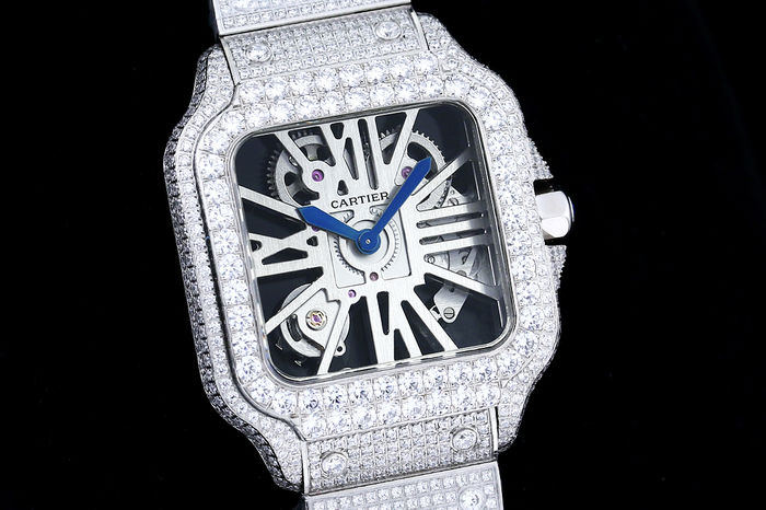 Cartier Watch CTW00663