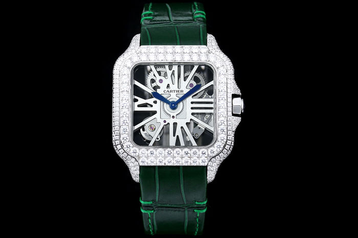 Cartier Watch CTW00666