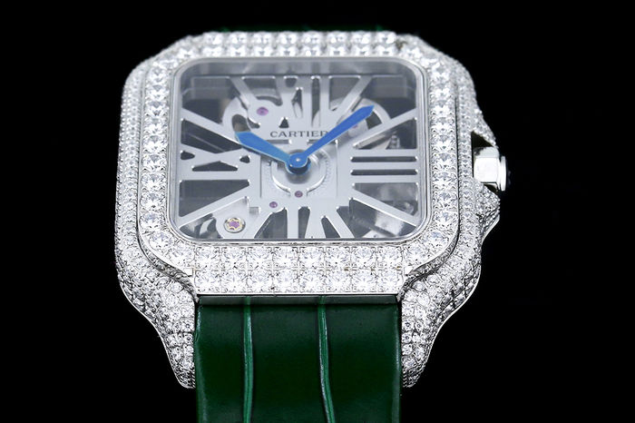 Cartier Watch CTW00666