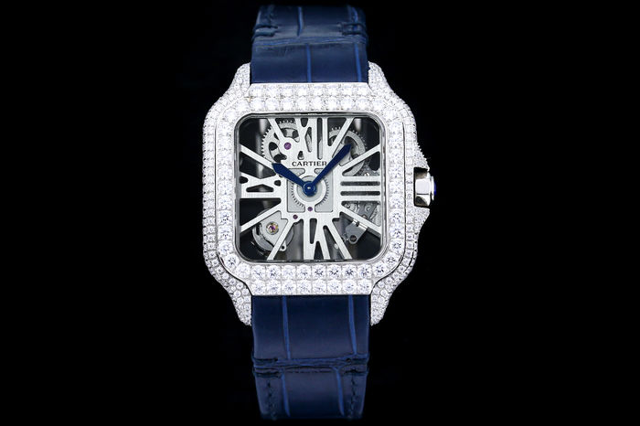Cartier Watch CTW00667