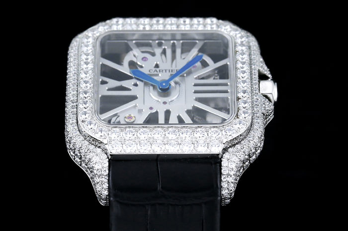 Cartier Watch CTW00668