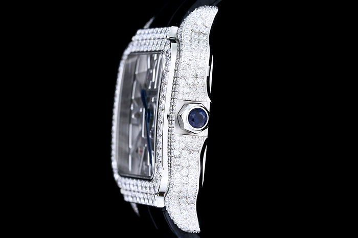 Cartier Watch CTW00668