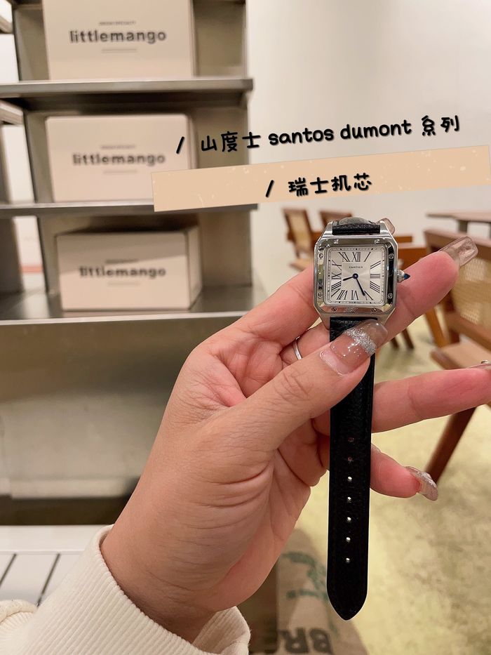 Cartier Watch CTW00670