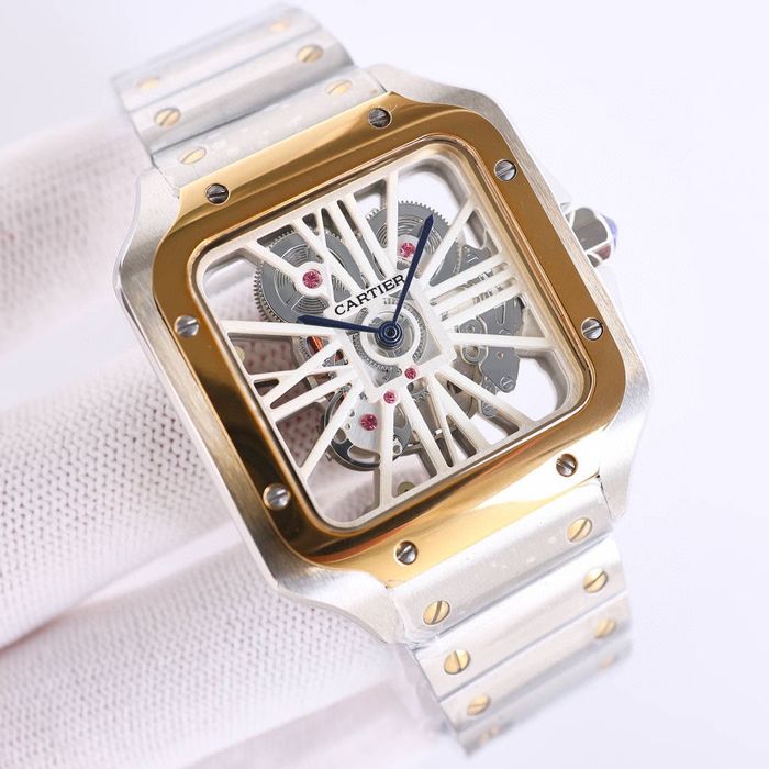 Cartier Watch CTW00671