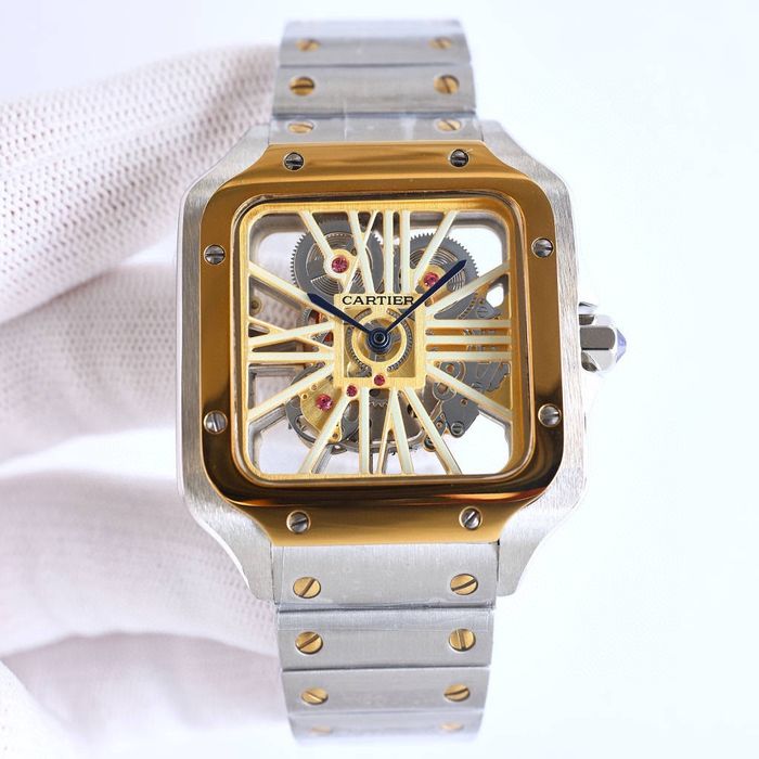 Cartier Watch CTW00672