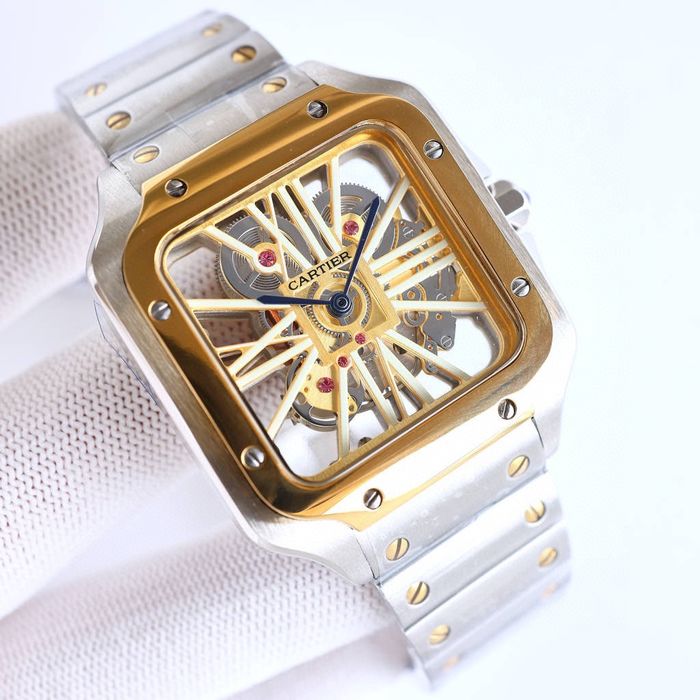 Cartier Watch CTW00672