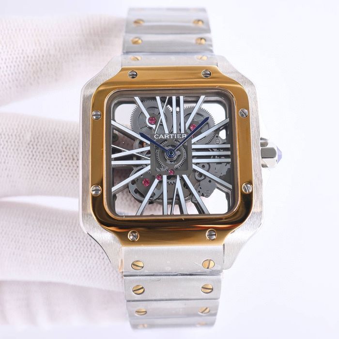 Cartier Watch CTW00673