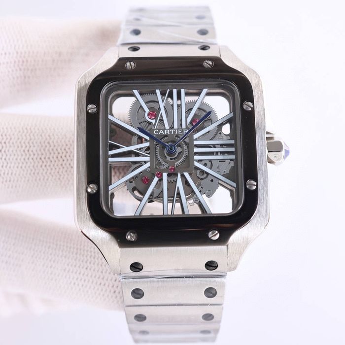 Cartier Watch CTW00674