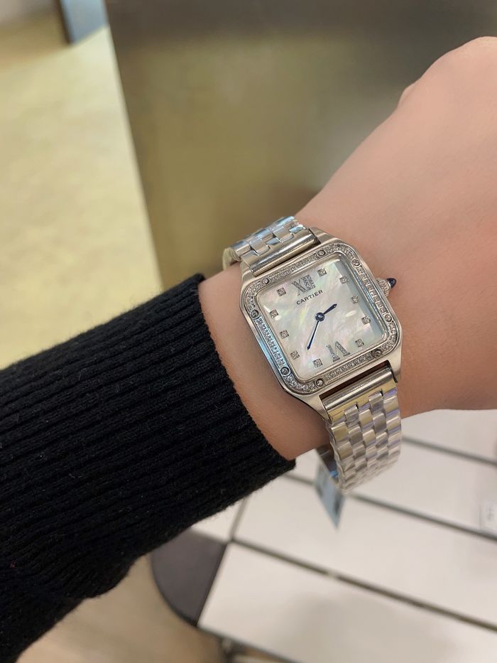 Cartier Watch CTW00685-1