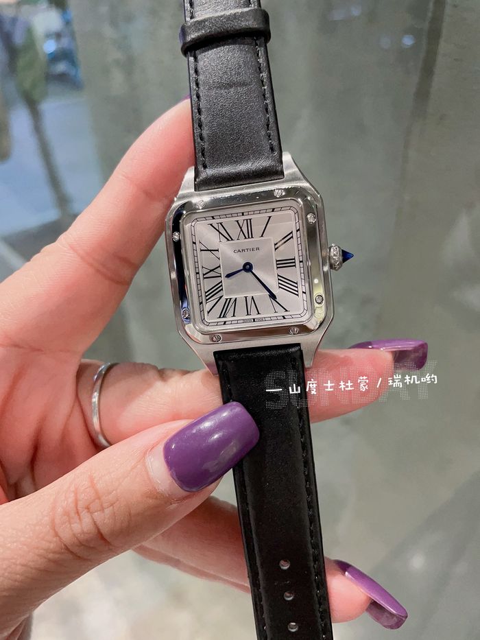 Cartier Watch CTW00691