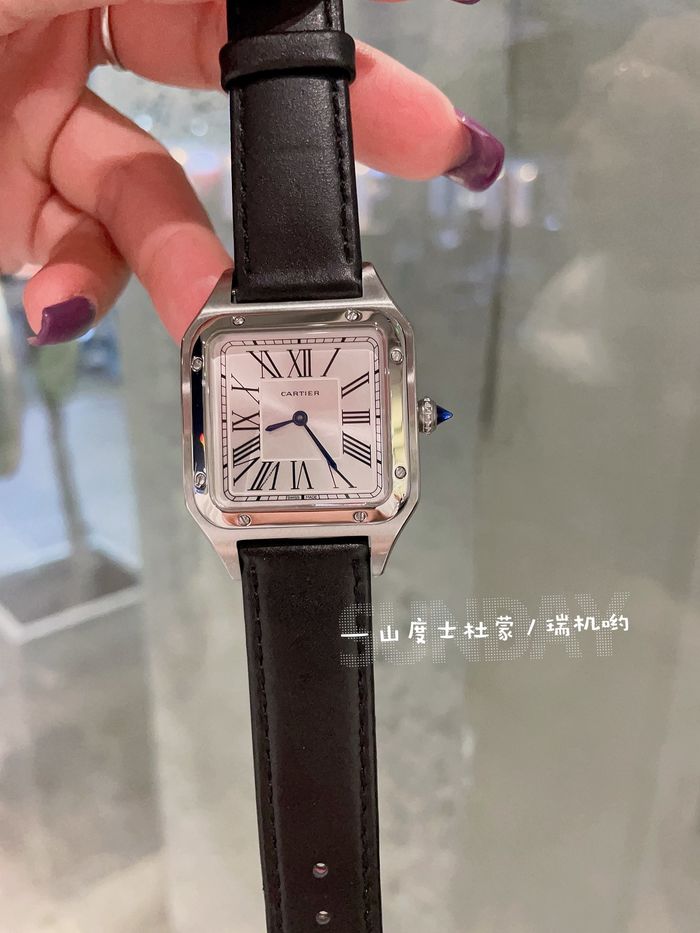 Cartier Watch CTW00691