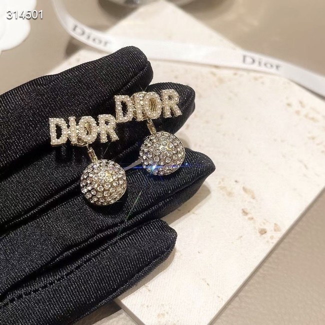 Dior Earrings CE11843