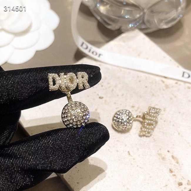 Dior Earrings CE11843