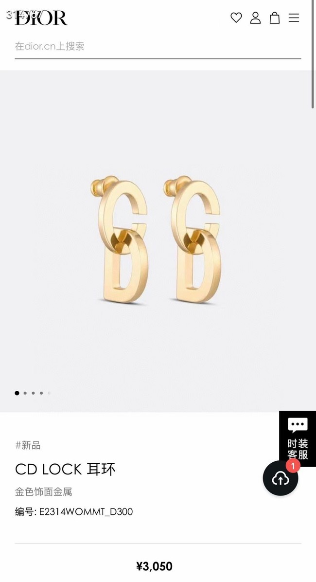 Dior Earrings CE11859